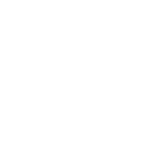 bombardier white