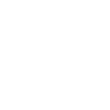 StarlinkWhite100